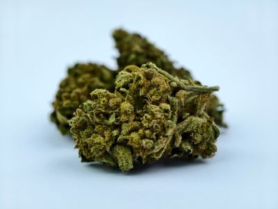 Wedding Cake Premium Outdoor p/g