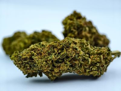 Rotten Rozay Greenhouse p/g