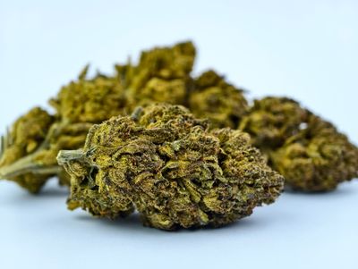 Sherb Crasher Greenhouse p/g