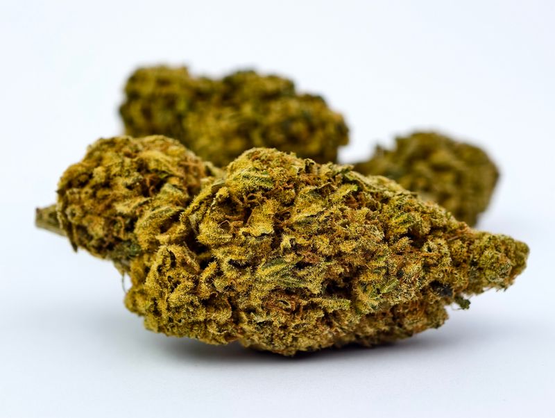 Peyote Gorilla Premium Indoor p/g