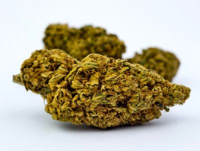 Peyote Gorilla Premium Indoor p/g