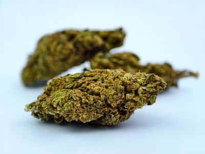 Triple Diesel Greenhouse p/g