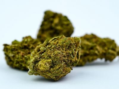 Cherry Punch Greenhouse p/g