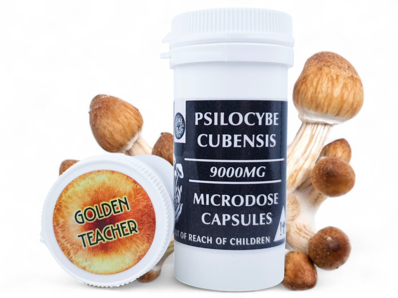 300mg P. cubensis Mushroom Microdose Capsules (x30) - NMSA