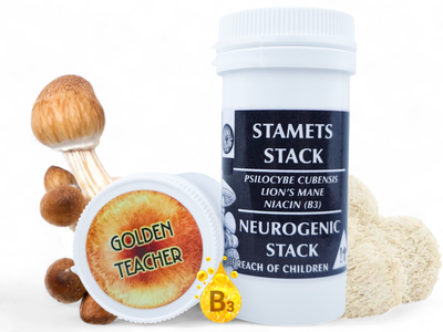 Stamets Stack - Neurogenic Mushroom Microdose Capsules (x30) - NMSA