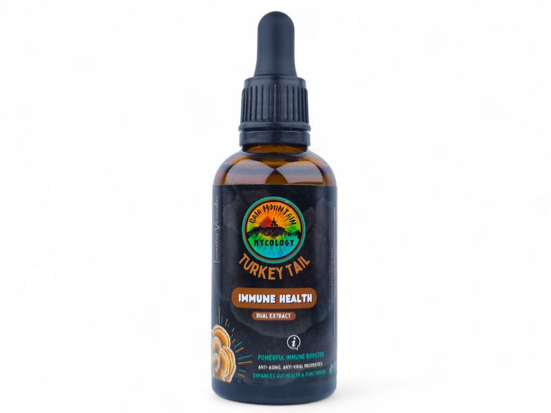 Turkey Tail Mushroom Tincture 50ml - Gaia Mountain Mycology