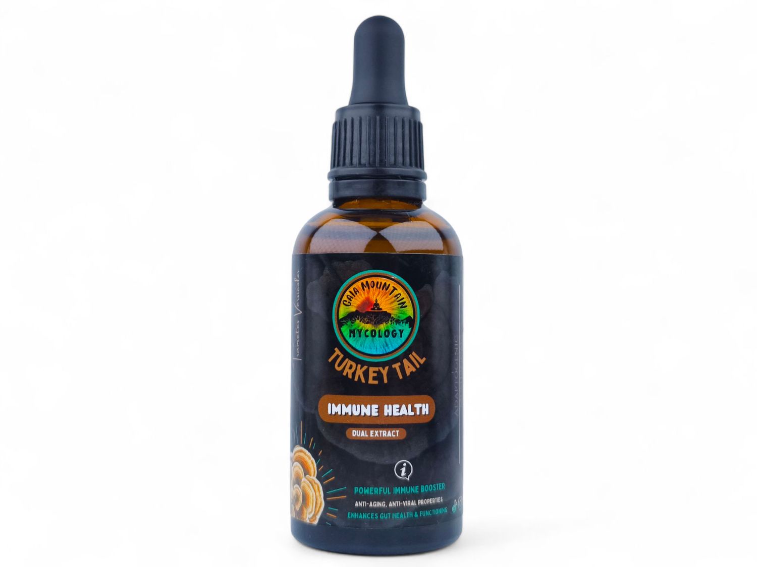Turkey Tail Mushroom Tincture 50ml - Gaia Mountain Mycology