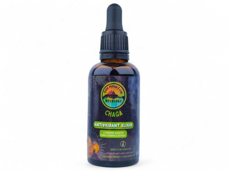 Chaga Mushroom Tincture 50ml - Gaia Mountain Mycology