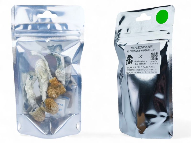 Inca Stargazer P. cubensis Mushroom - 5g Pack