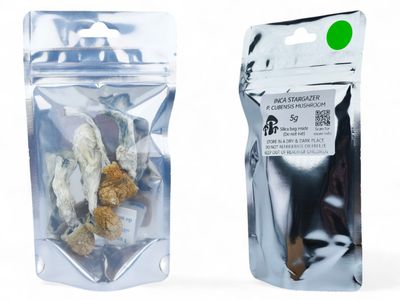 Inca Stargazer P. cubensis Mushroom - 5g Pack
