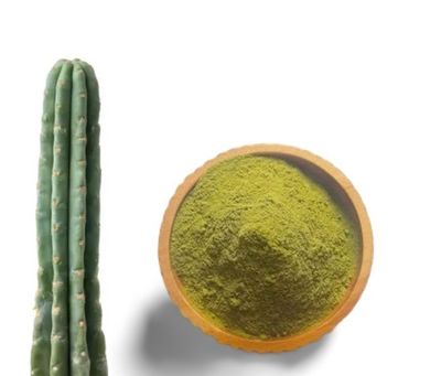 10g Mescaline Cactus Powder