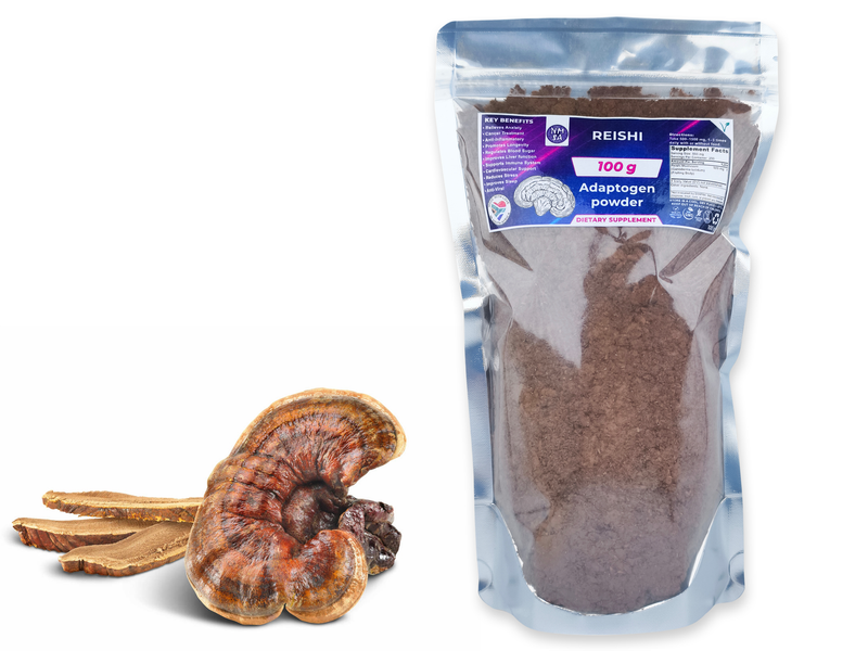 100g Reishi Dried Medicinal Mushroom