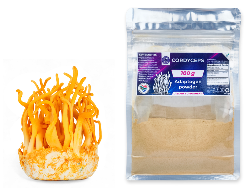 100g Cordyceps Dried Medicinal Mushroom