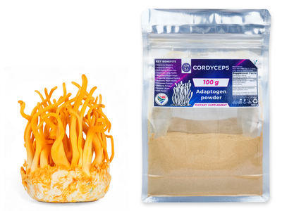 100g Cordyceps Dried Medicinal Mushroom
