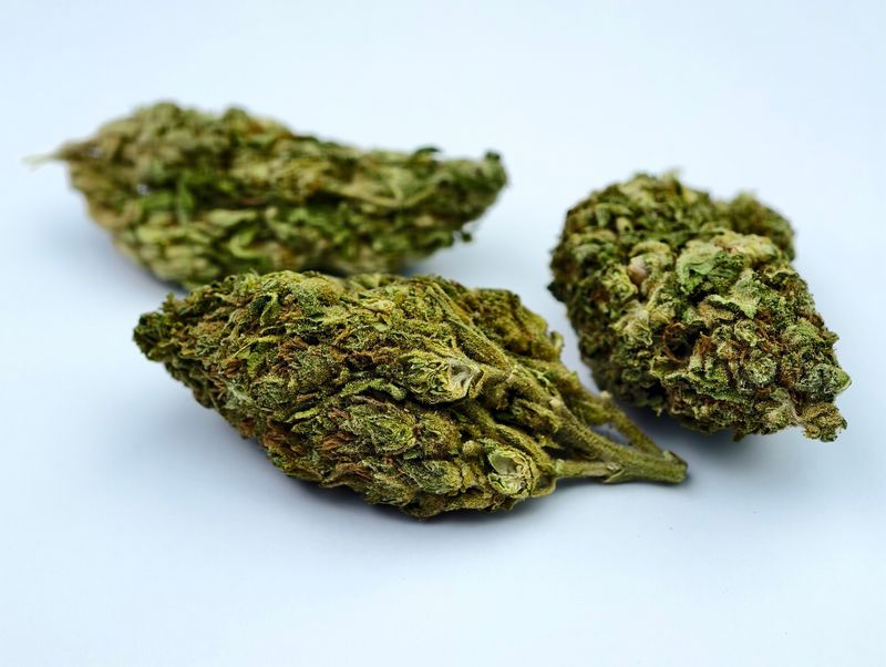 California Orange Premium Outdoor p/g