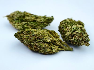 California Orange Premium Outdoor p/g