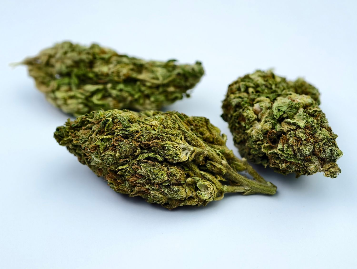 California Orange Premium Outdoor p/g