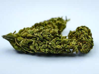 Trainwreck Premium Outdoor p/g