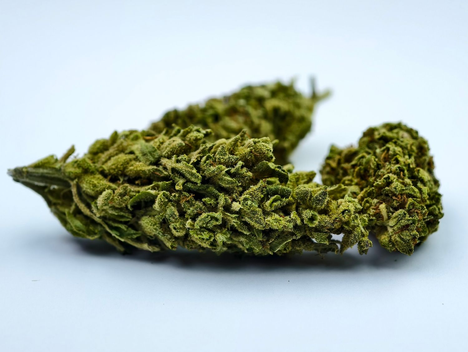 Trainwreck Premium Outdoor p/g