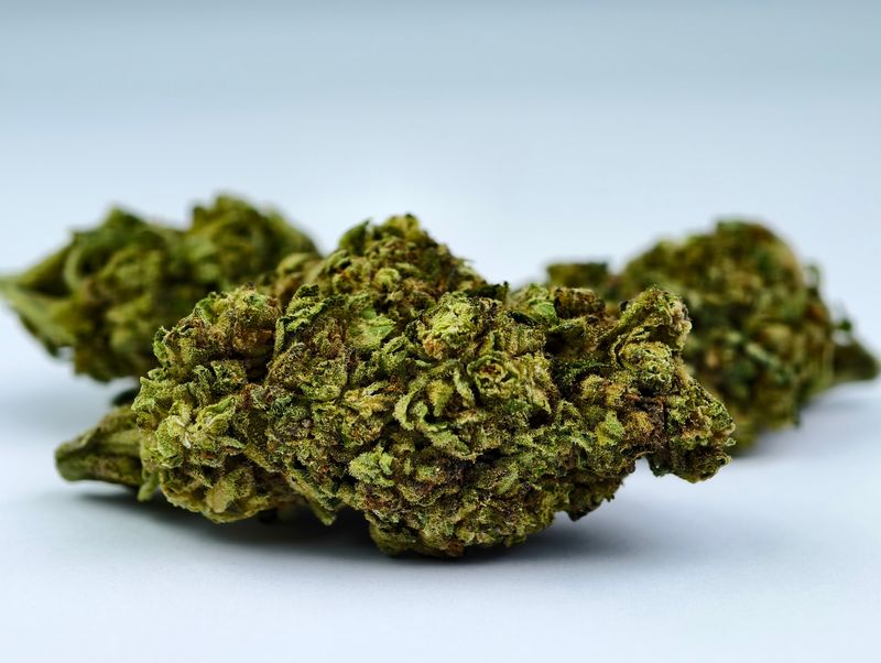 Space Cake Outdoor p/g