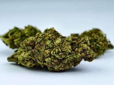 Space Cake Outdoor p/g