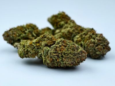 Jealousy Greenhouse p/g