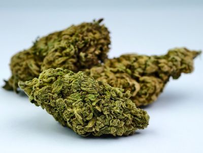 Mac 10 Greenhouse p/g