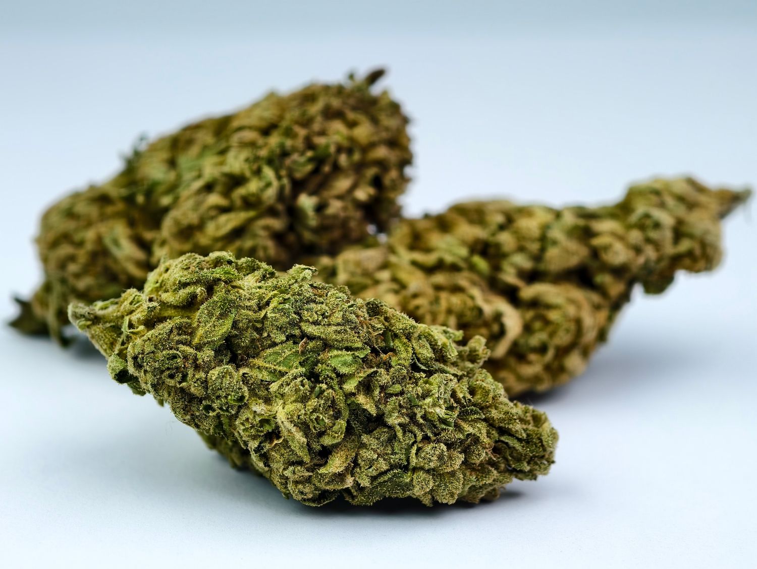 Mac 10 Greenhouse p/g