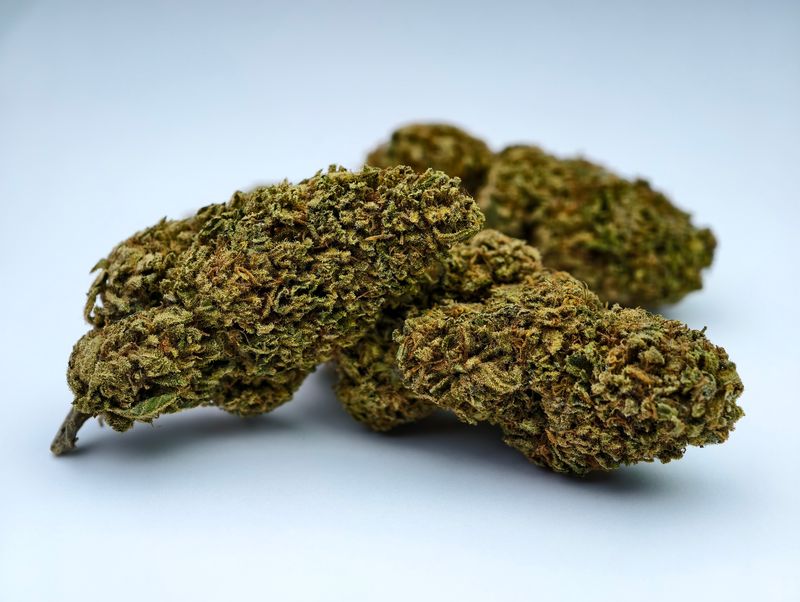 Mango Kush Greenhouse p/g