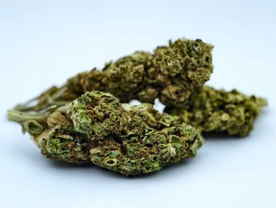 Berry Bomb Outdoor p/g