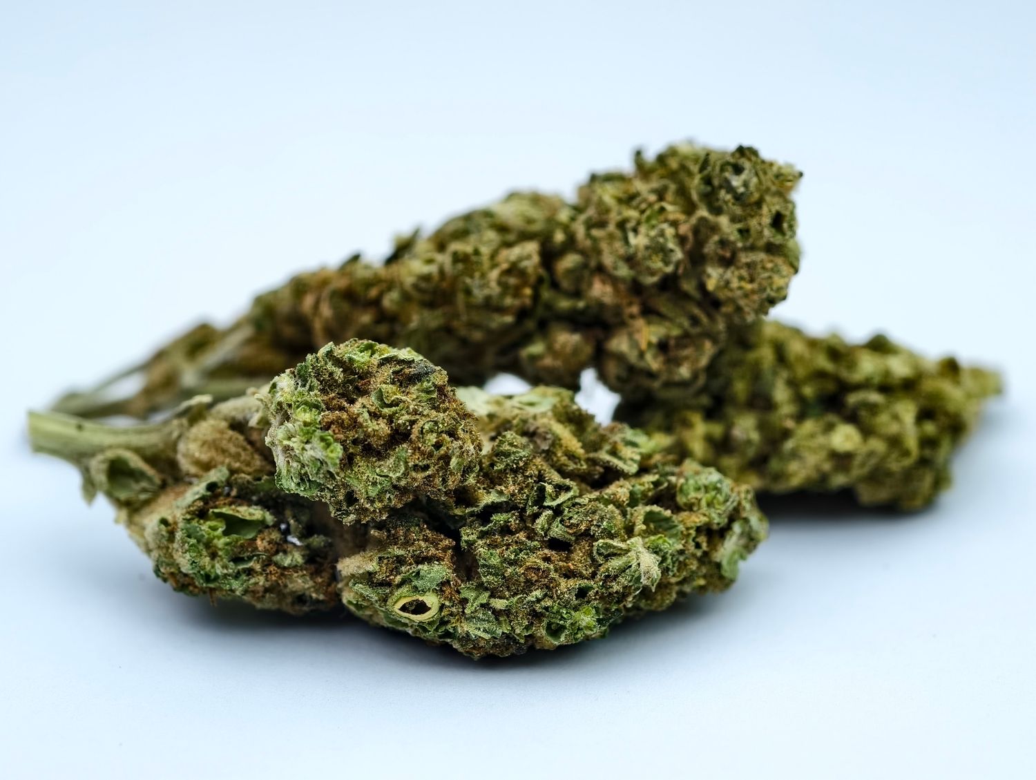 Berry Bomb Outdoor p/g