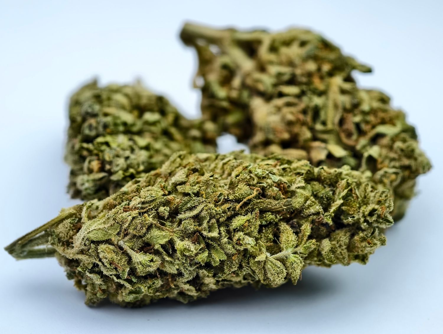 Double Deuce Outdoor p/g