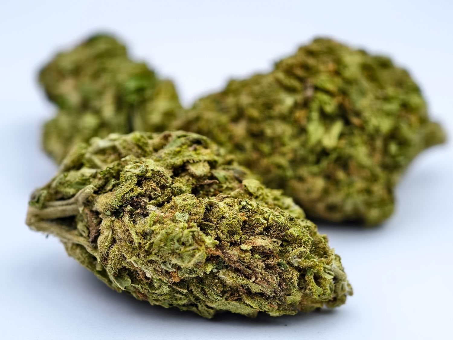 Tropicana Greenhouse p/g