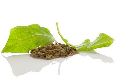 Salvia Divinorum Dry Leaf per g