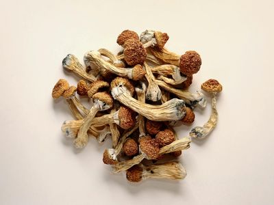 Dried Whole / Powdered