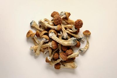 Dried Whole / Powdered
