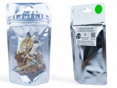 Golden Teacher P. cubensis Mushroom - 5g Pack