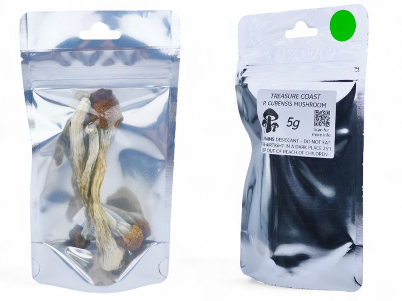 Treasure Coast P. cubensis Mushroom - 5g Pack