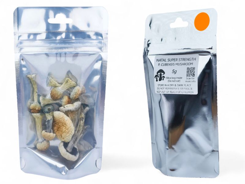 Natal Super Strength P. cubensis Mushroom - 5g Pack