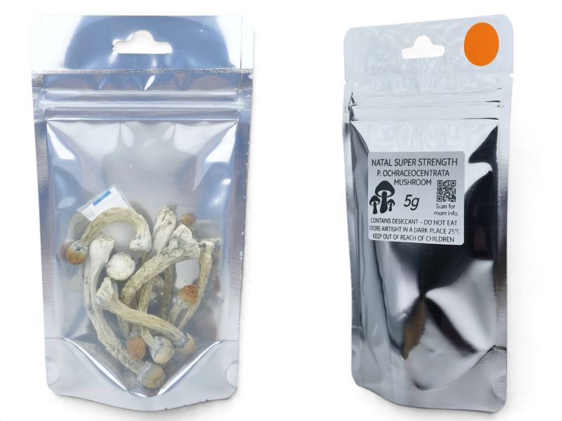 Natal Super Strength P. ochraceocentrata Mushroom - 5g Pack