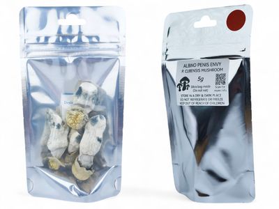 Albino Penis Envy P. cubensis Mushroom - 5g Pack