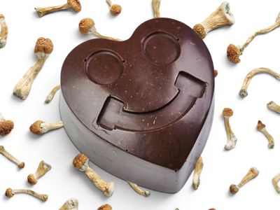 2g P. cubensis Mushroom Sugar &amp; Dairy-Free Chocolate