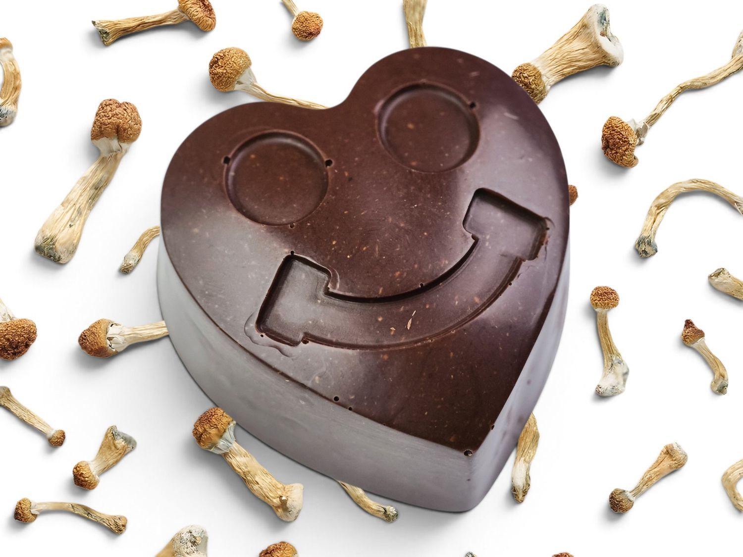 2g P. cubensis Mushroom Sugar &amp; Dairy-Free Chocolate