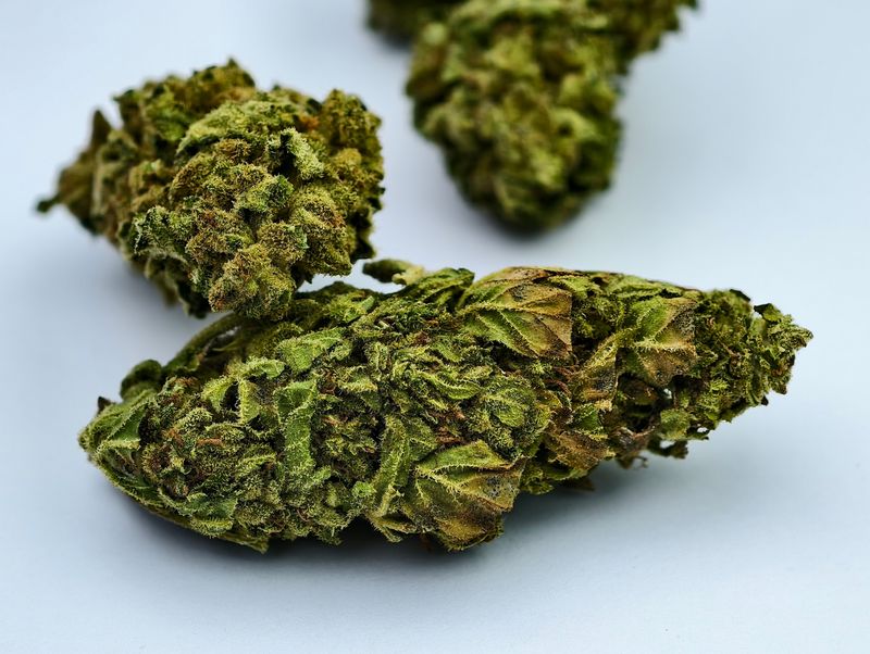 Swazi Gold Outdoor p/g