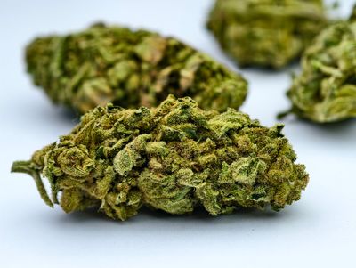 Swazi Gold Outdoor p/g