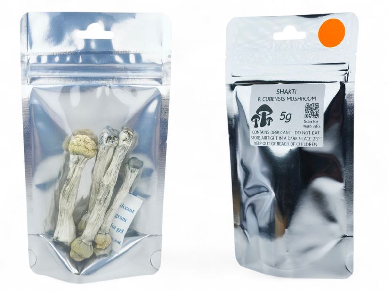 Shakti P. cubensis Mushroom - 5g Pack