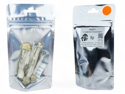 Shakti P. cubensis Mushroom - 5g Pack