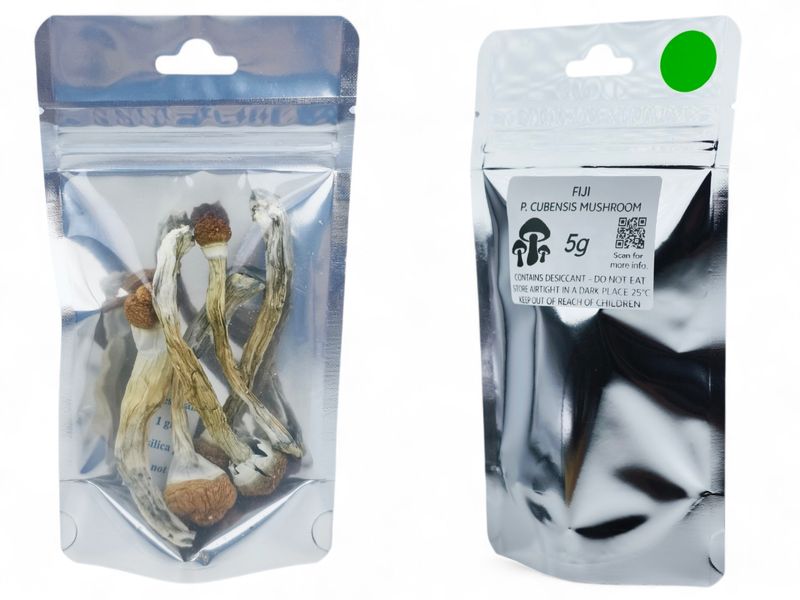 Fiji P. cubensis Mushroom - 5g Pack