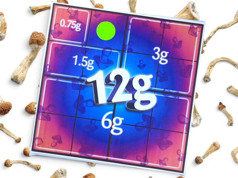 12g P. cubensis Mushroom White Chocolate Slab