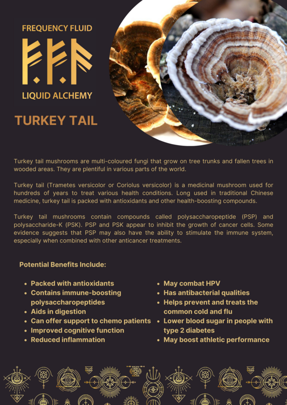 Turkey Tail Mushroom Botanical Extract 10ml - Frequency Fluid